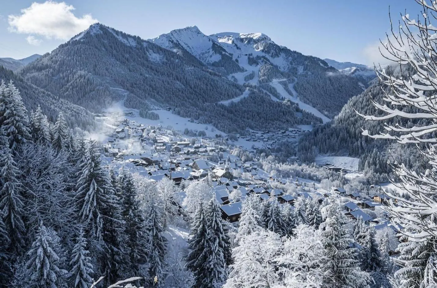 Chalet Ours Blanc Ors Nature & Quiet 6 Pers Chatel France