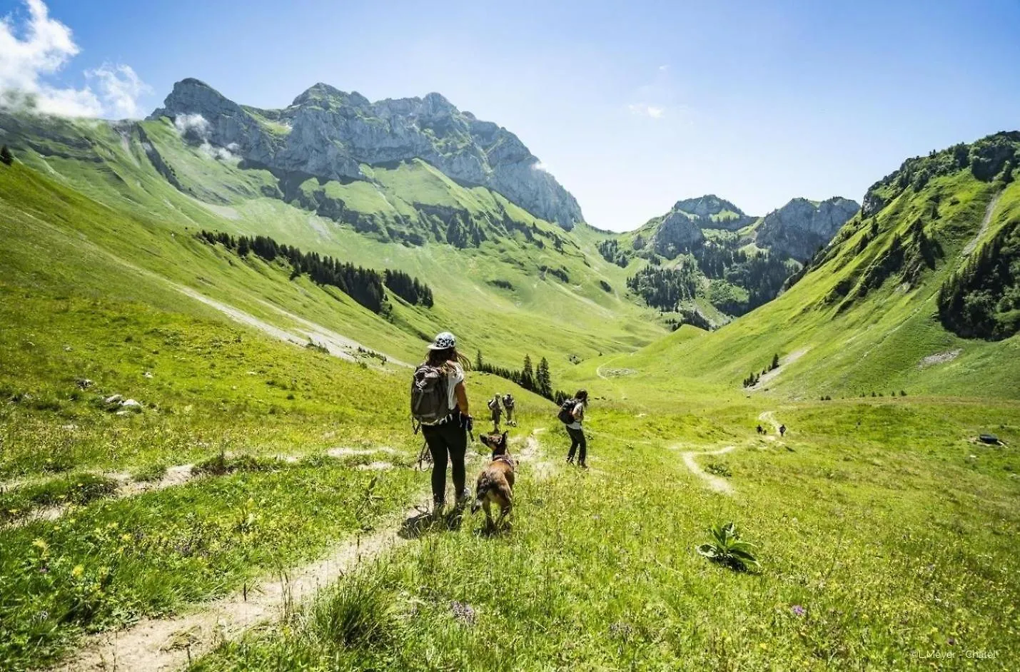 Chalet Ours Blanc Ors Nature & Quiet 6 Pers Chatel